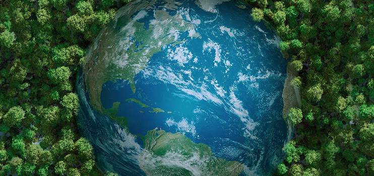 Coloray active participat in global environmental tutela causa.